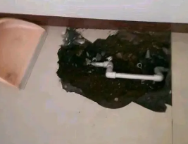 松溪卫生间测漏水多少钱